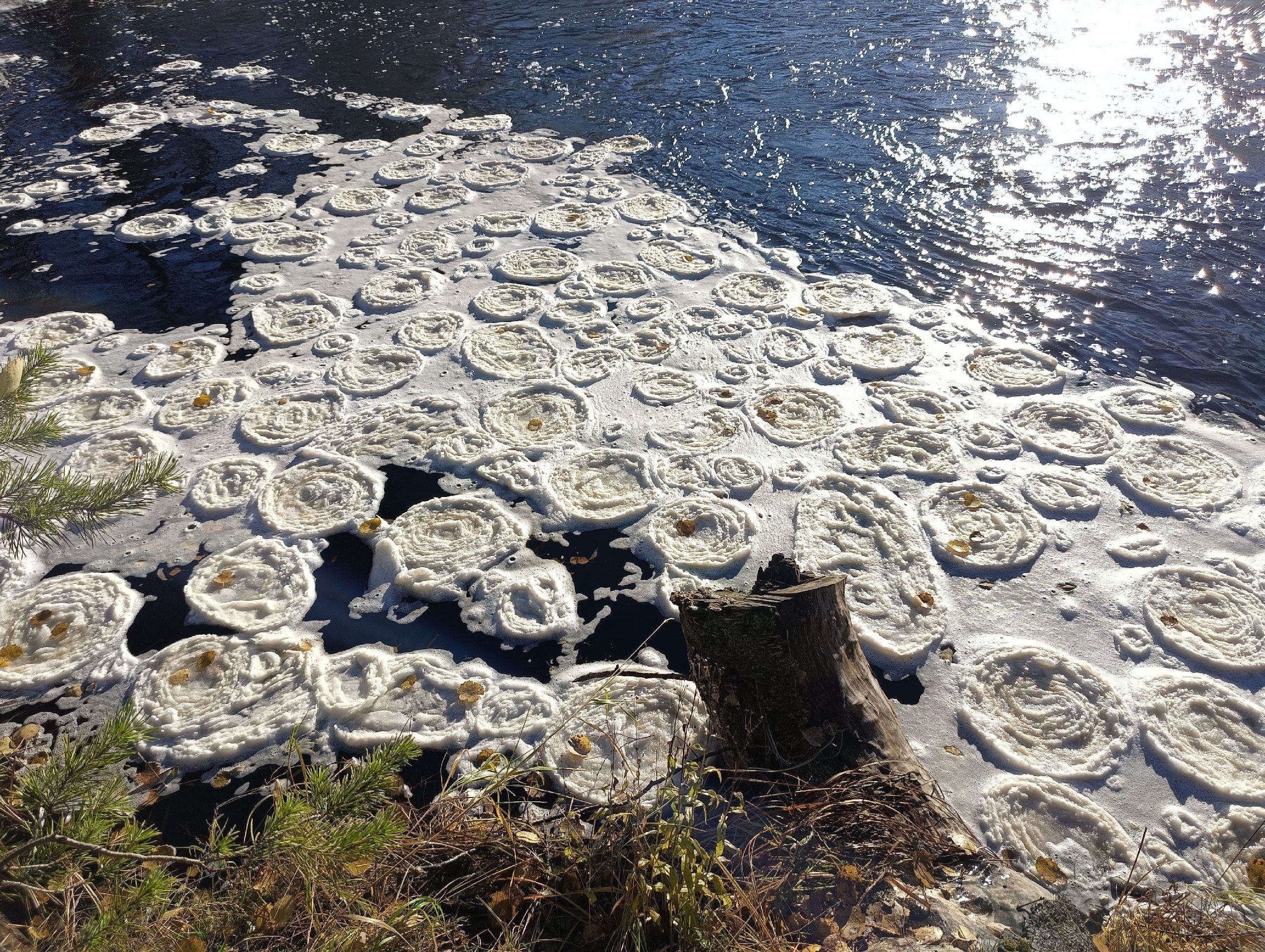 Ночью местами до -13°С: прогноз погоды на 4 ноября