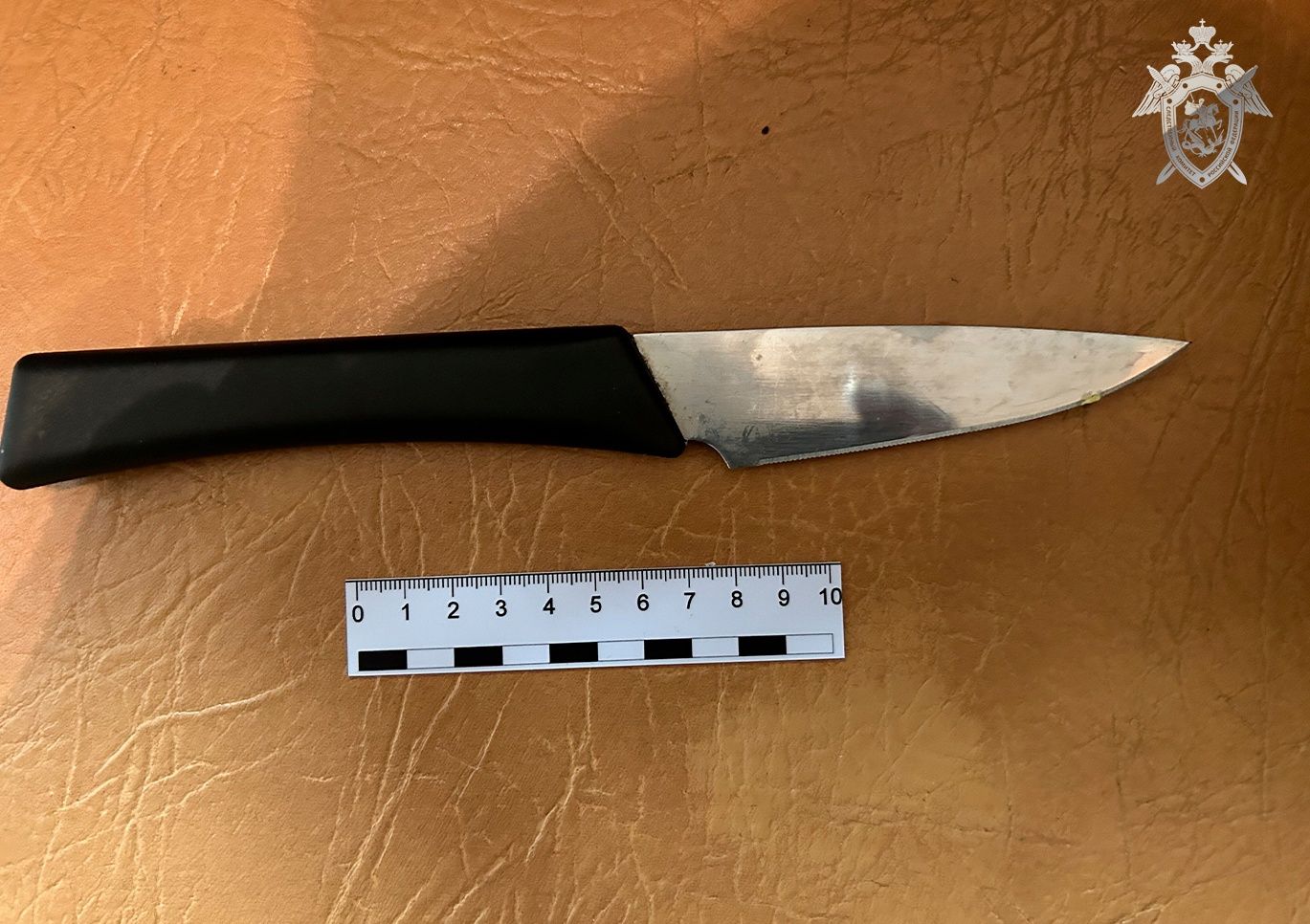 Житель Карелии задержан по подозрению в убийстве