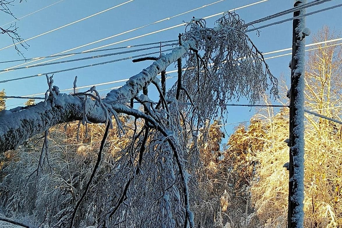 Из-за непогоды 18 населенных пунктов в двух районах Карелии остались без света