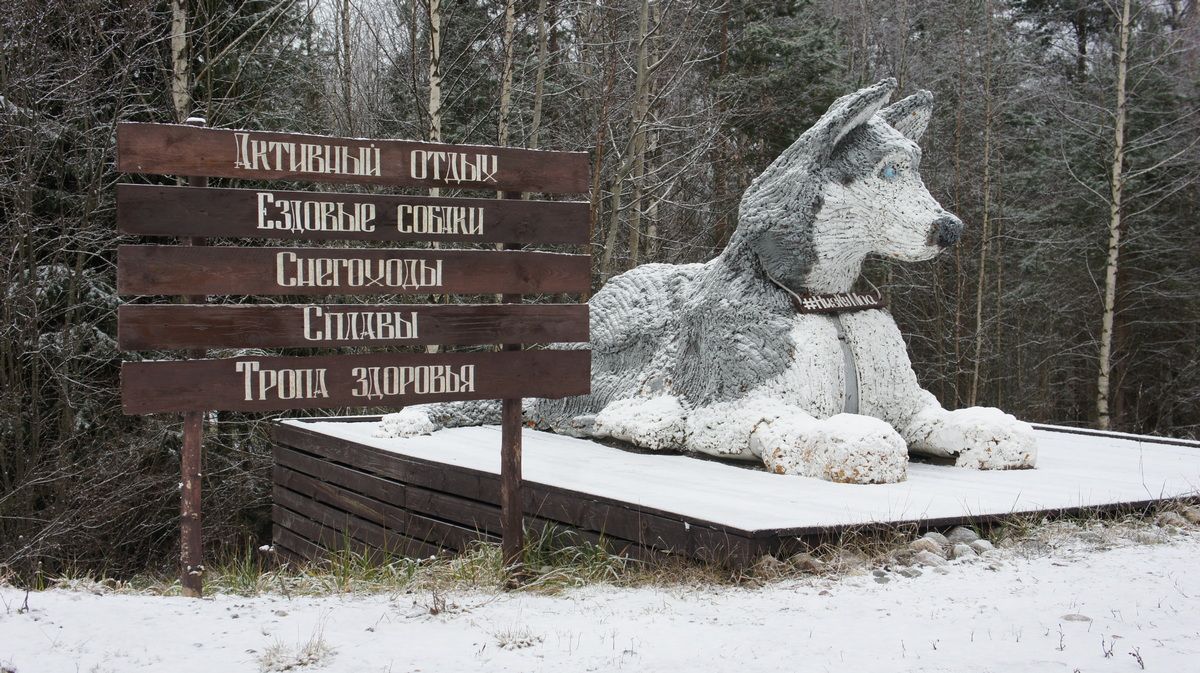 Олег Ермолаев: «Билетов в Карелию на предпраздничные дни не осталось»