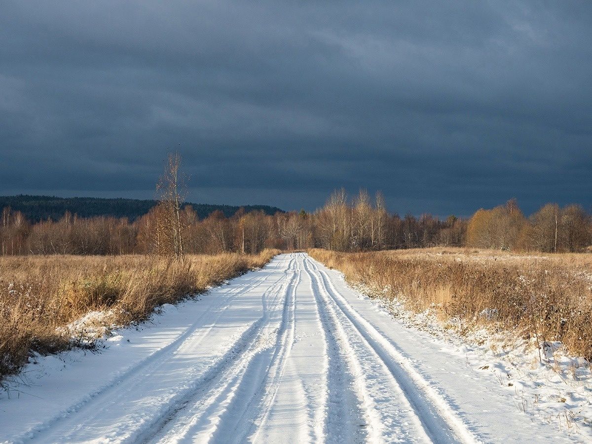 Синоптики сделали прогноз, когда в Карелии похолодает