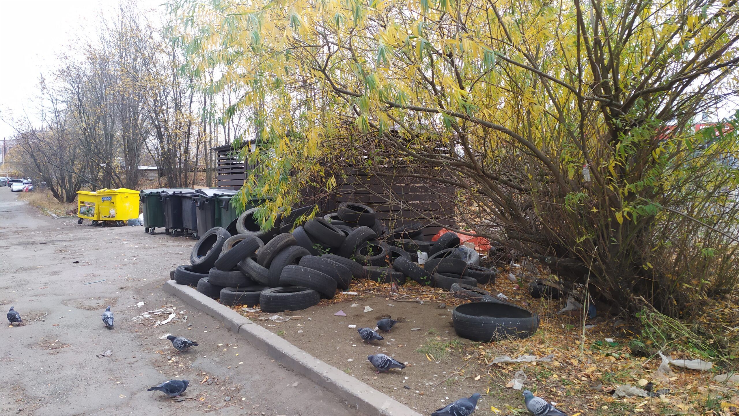 Количество собранных в Карелии отходов превышает плановые показатели на треть