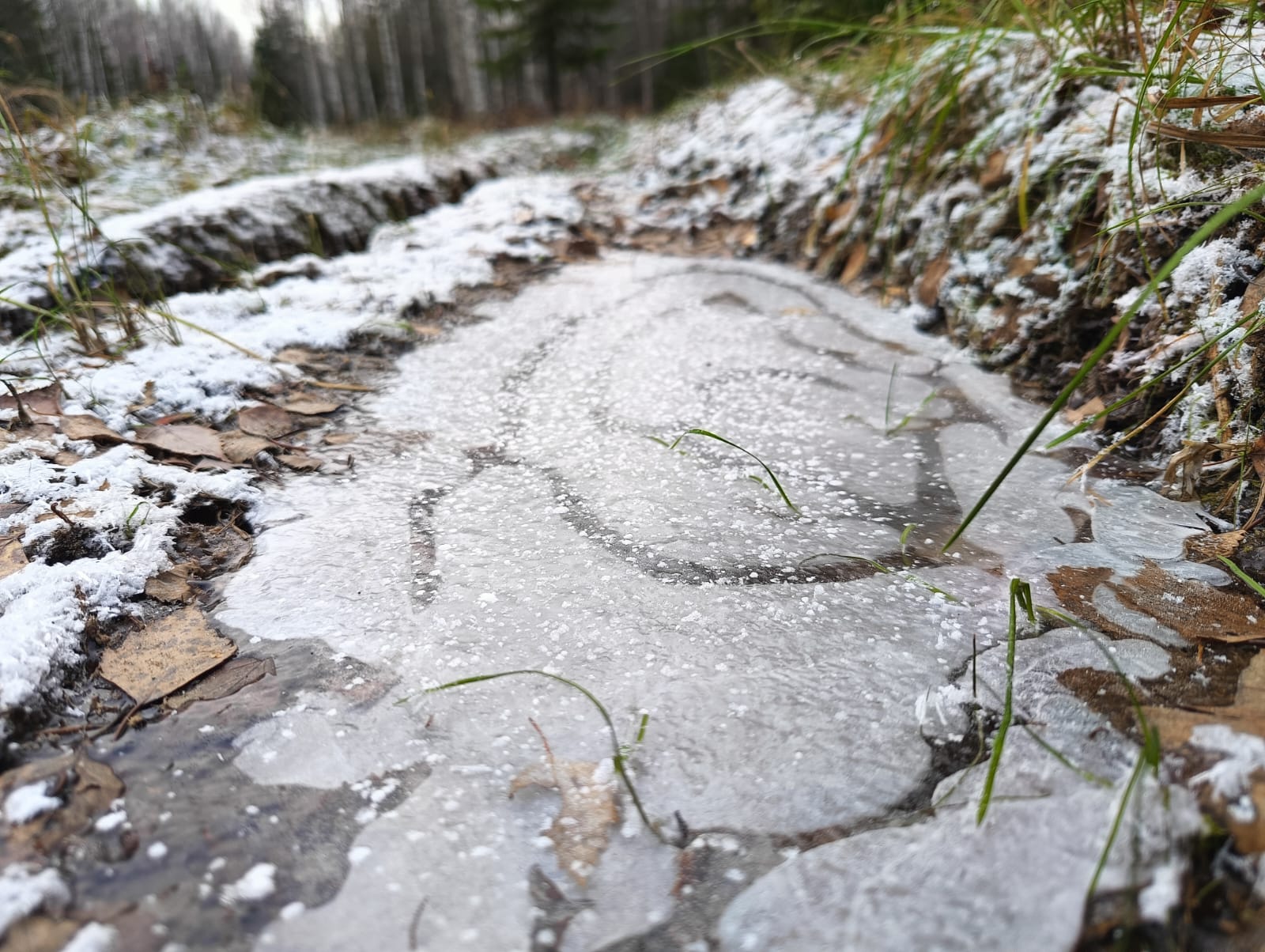 На дорогах гололедица. Прогноз погоды в Карелии на 7 ноября