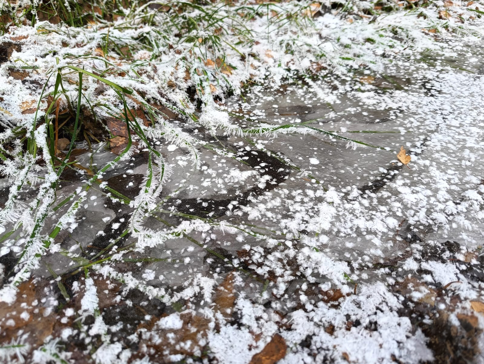 Ночью до минус 8. Прогноз погоды в Карелии на 11 ноября