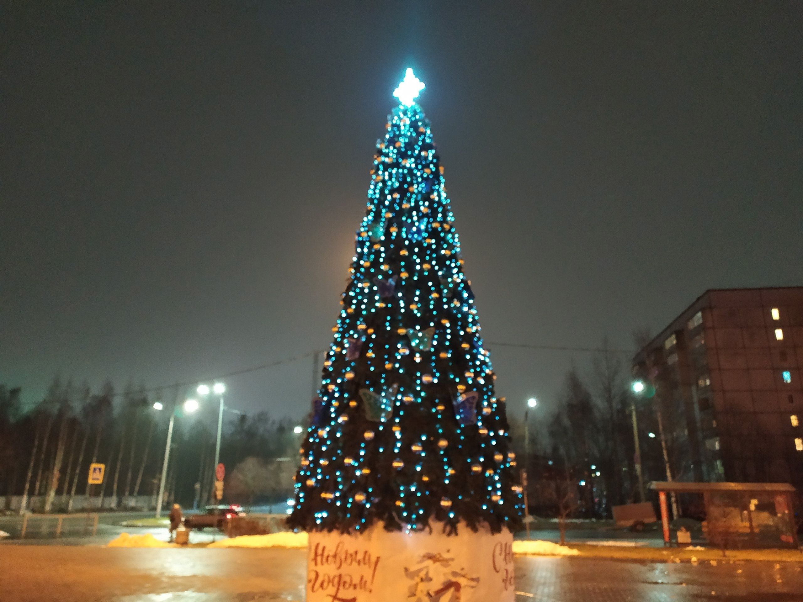 В Петрозаводске установили первую новогоднюю ёлку