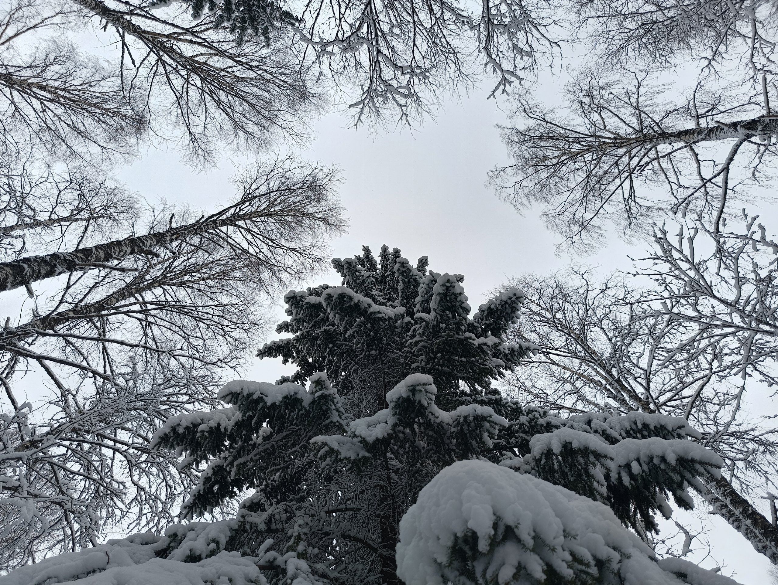 Ночью до минус 9. Прогноз погоды в Карелии на 23 ноября