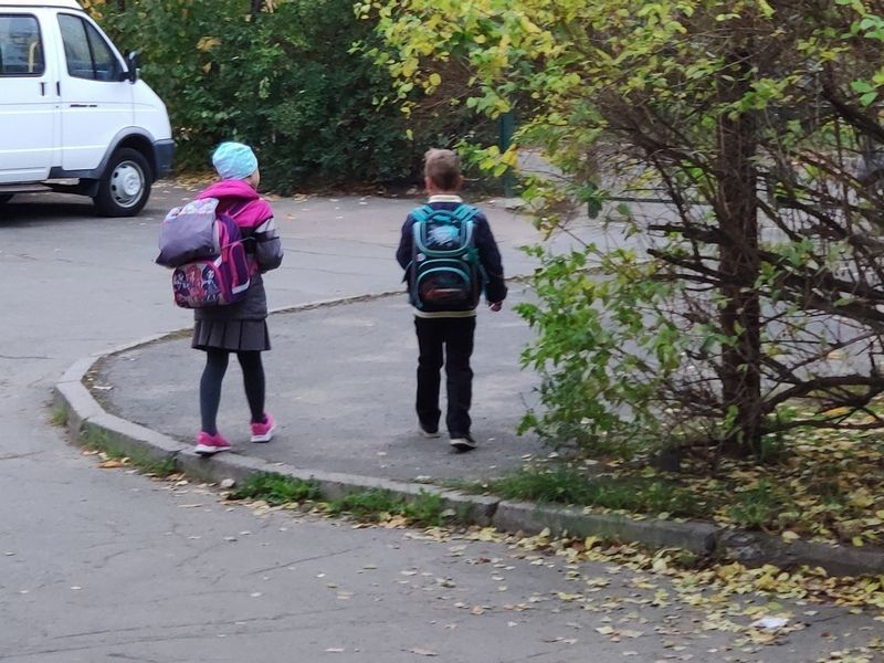 Еще одна школа в Карелии вышла на карантин