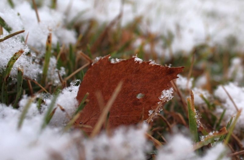 Мокрый снег и небольшой минус: прогноз погоды на 30 ноября