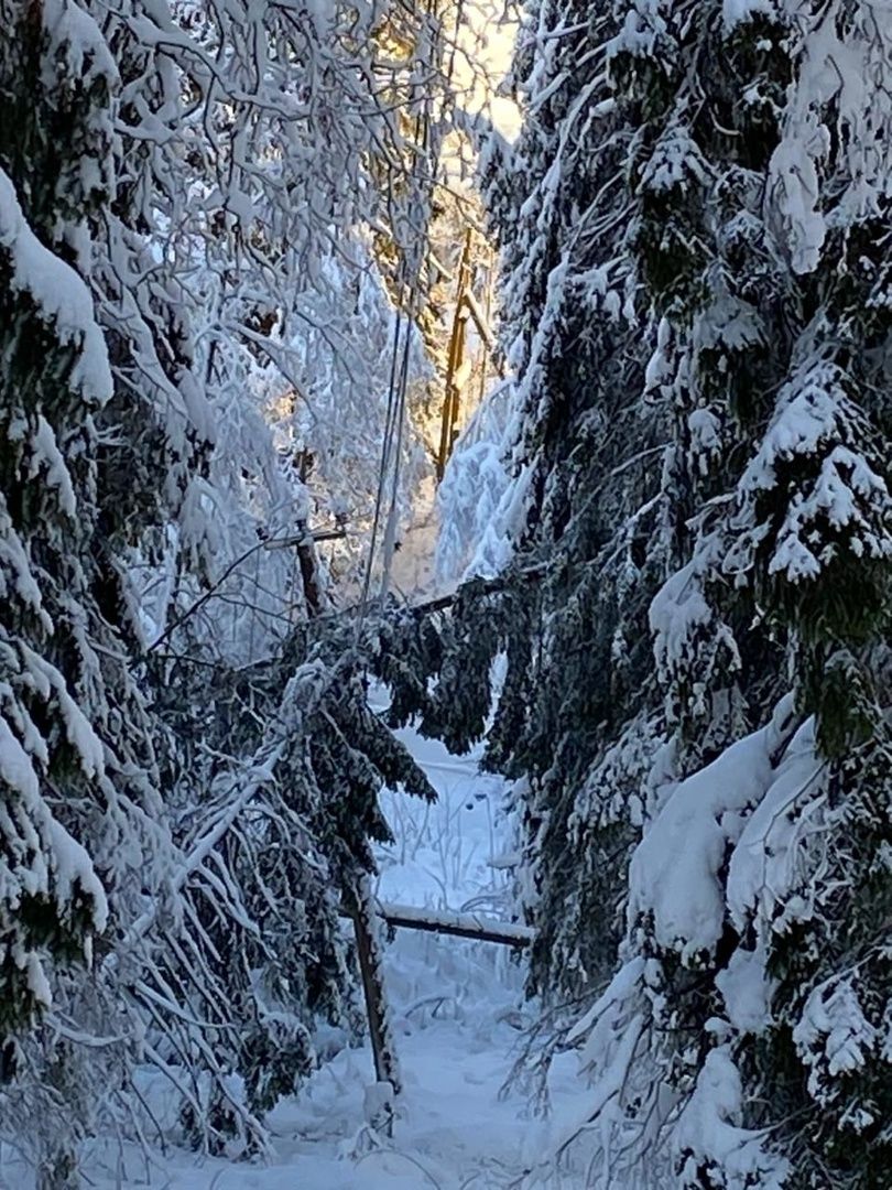 В Лахденпохском районе ввели режим чрезвычайной ситуации