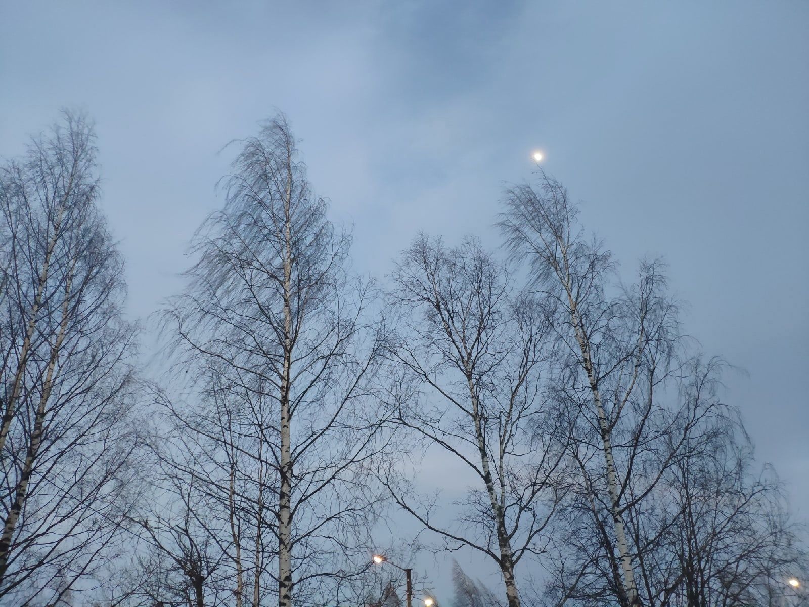 Штормовой ветер обрушится на Карелию