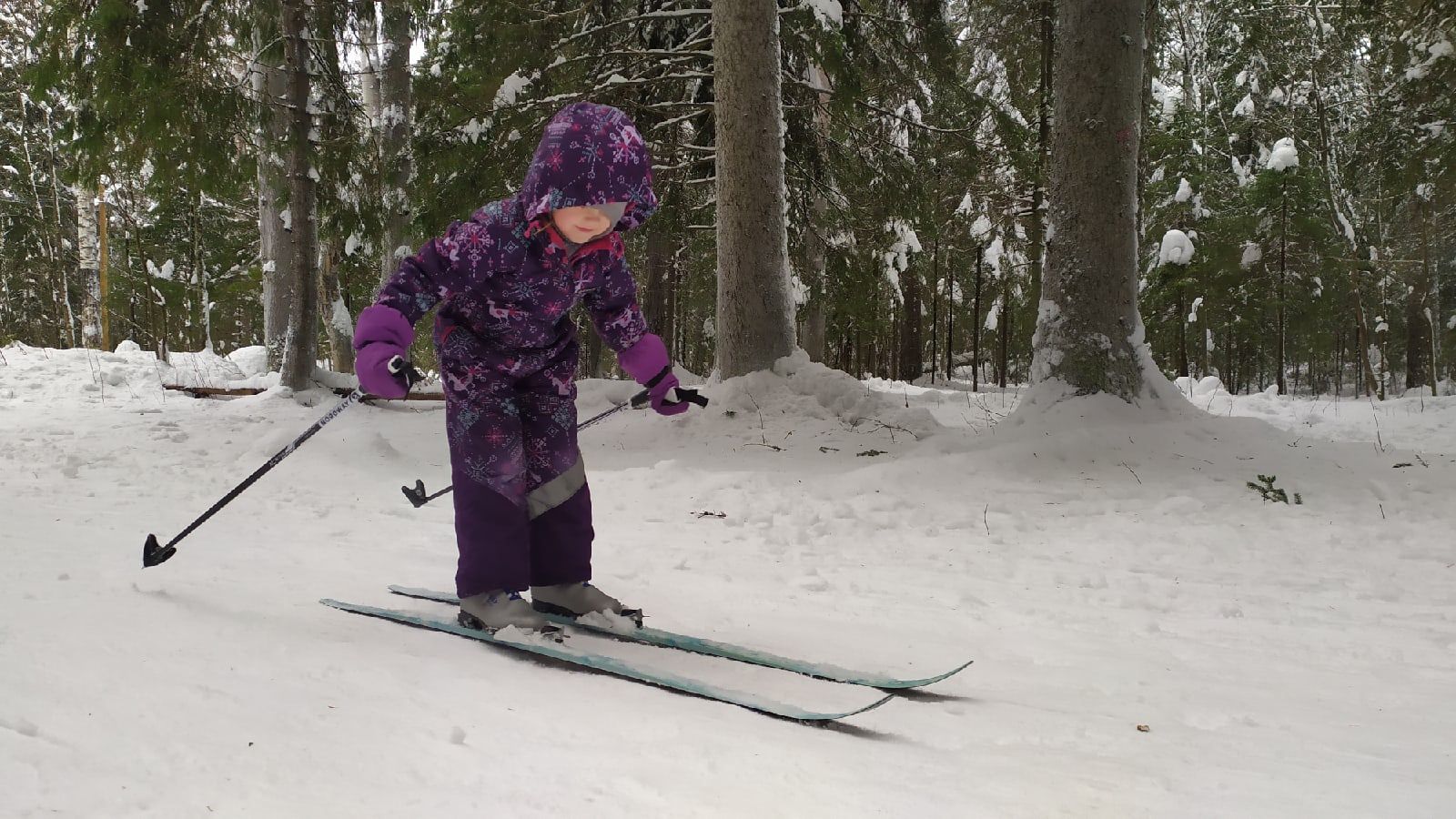 Петрозаводские лыжники открыли сезон на Кургане