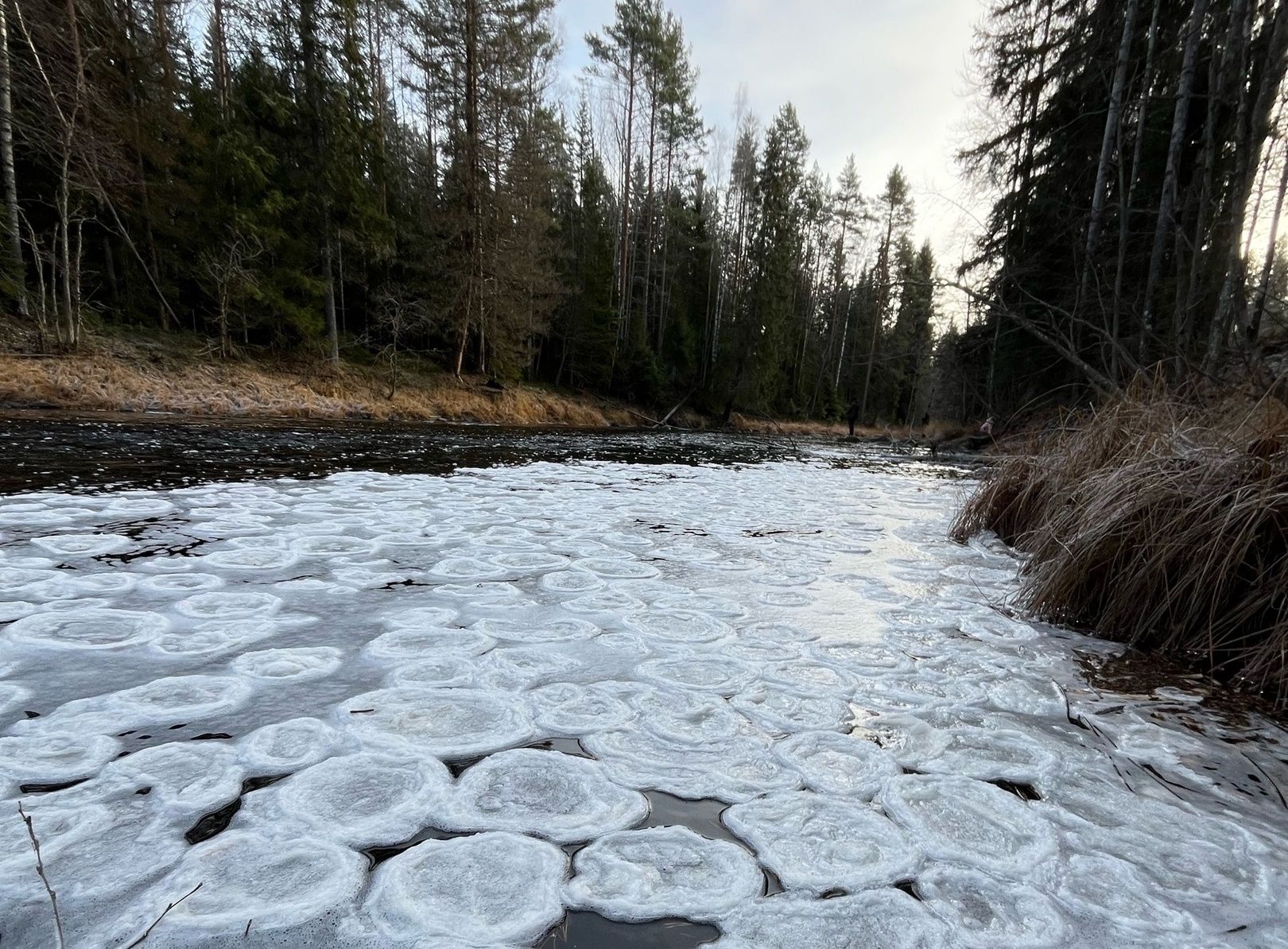 На реке в Олонецком районе заметили «ледяные блины»