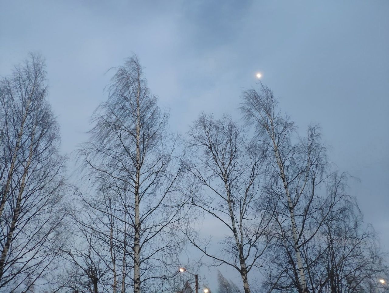 Плюсовая температура, дождь и ветер. Прогноз погоды на 26 ноября