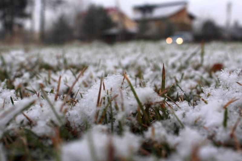 Небольшой снег и гололедица: прогноз погоды на 3 ноября