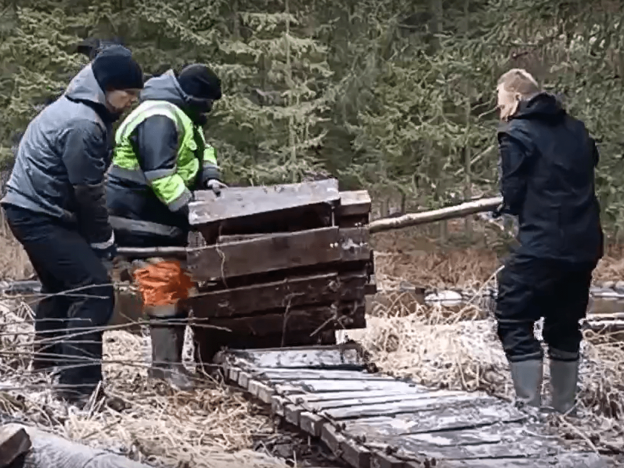 Стала известна судьба \