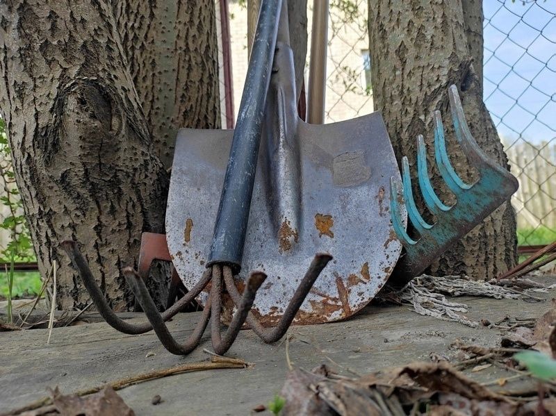 В Петрозаводске выявили 123 нарушения в обслуживании многоквартирных домов