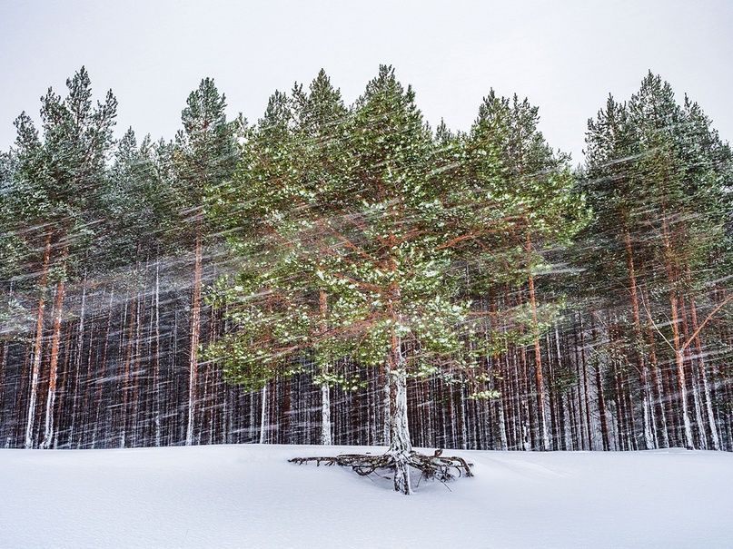 «Целый букет неблагоприятных явлений»: синоптики рассказали о погоде в Карелии
