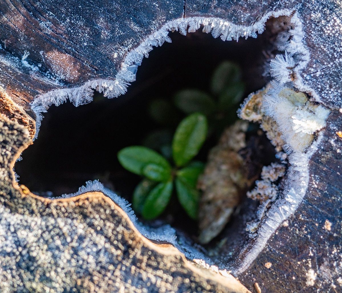 Синоптики рассказали о погоде на ближайшие дни