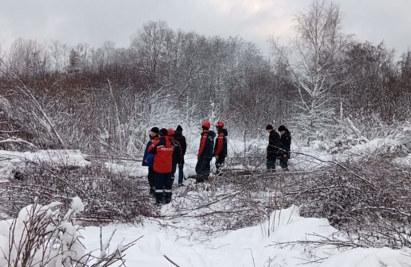 Министр строительства Карелии назвал две главные причины коллапса энергосистемы Лахденпохского района