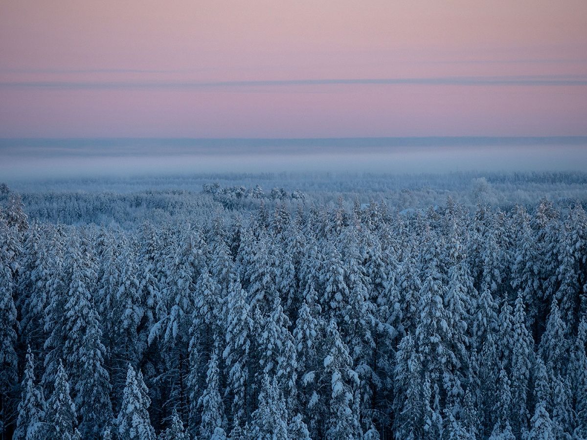 Карельский гидрометцентр: «Неделя будет переломной в смене сезонов»