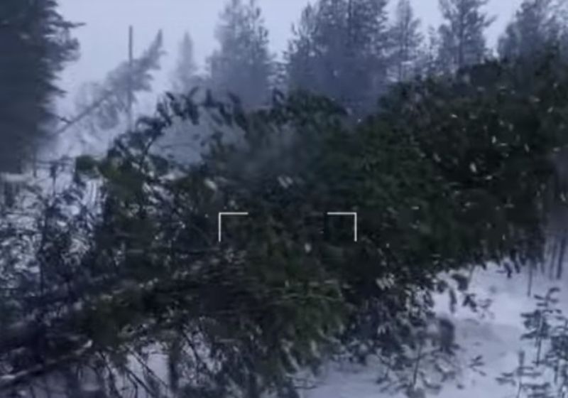 Более 1000 поваленных штормом деревьев убрали энергетики в Карелии