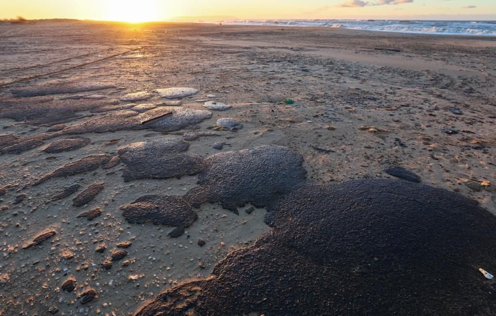Бастрыкин потребовал возбудить уголовное дело о бездействии в ликвидации утечки мазута в Черное море