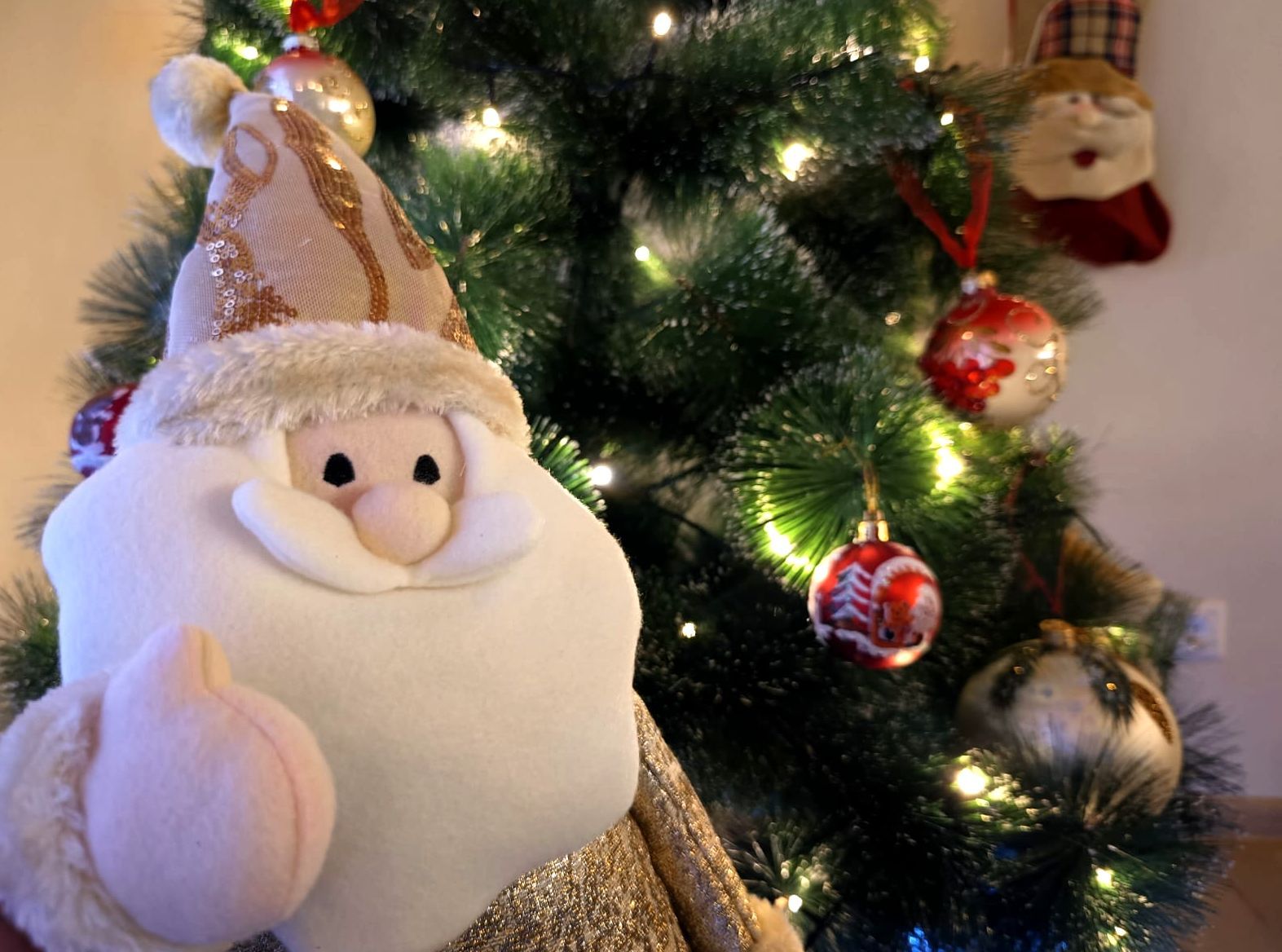 Мира и добрых новостей! Поздравление от редакции «Карелия.Ньюс»