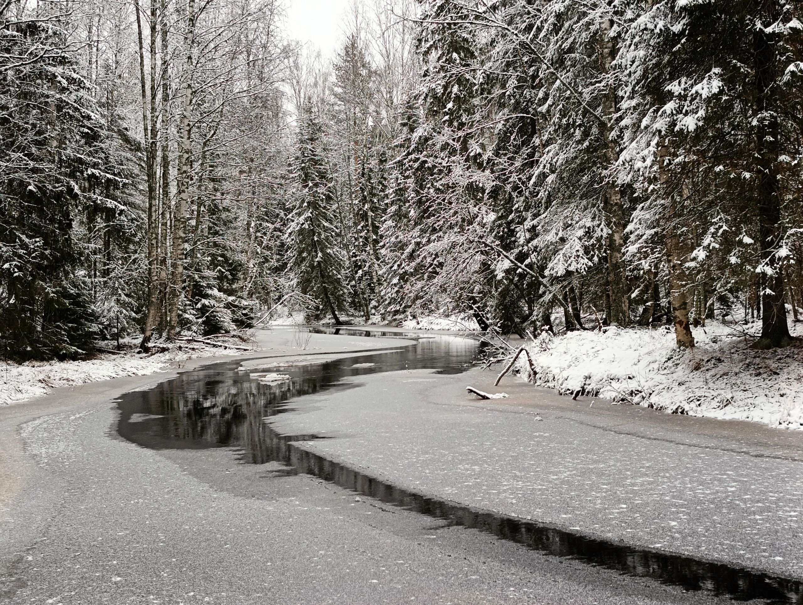 Без существенных осадков. Прогноз погоды в Карелии на 8 декабря