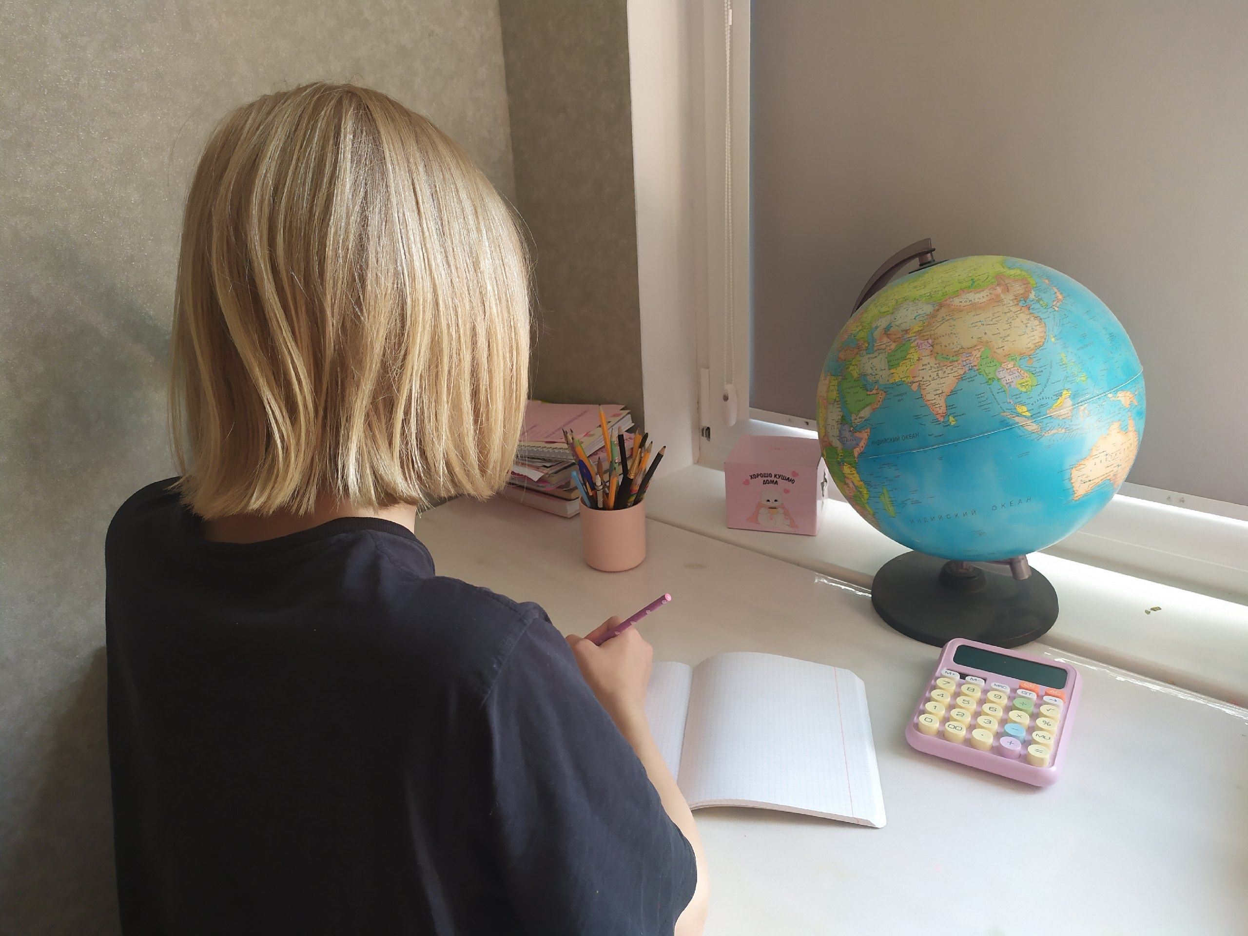 Учащихся 26 классов в Карелии отправили на карантин