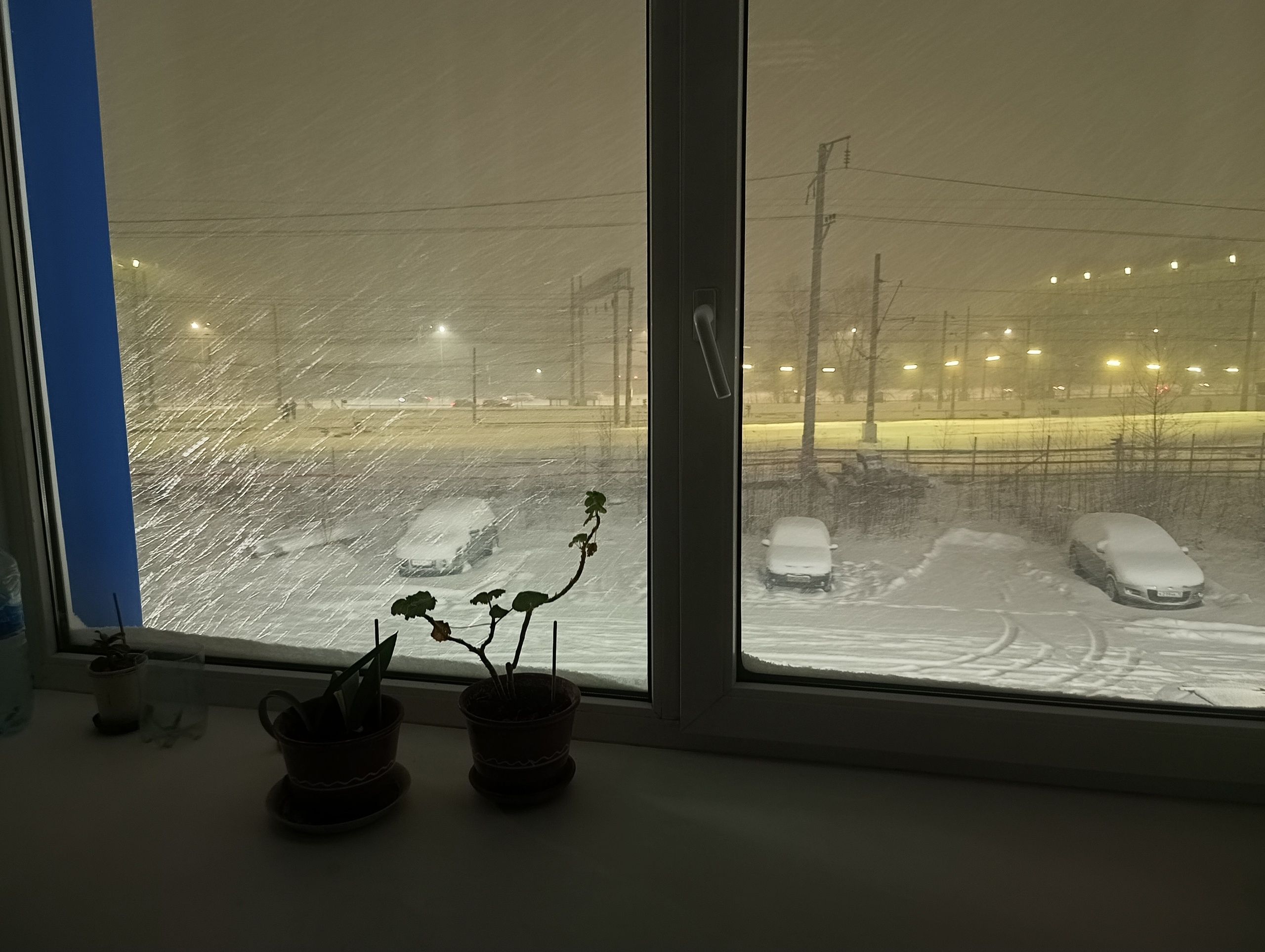 Мокрый снег. Прогноз погоды в Карелии на 25 декабря