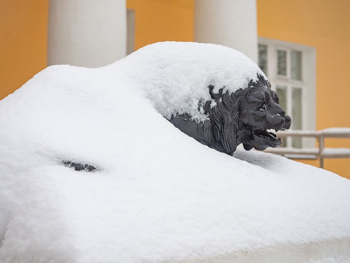 Снег и плюс. Прогноз погоды в Карелии на 20 декабря