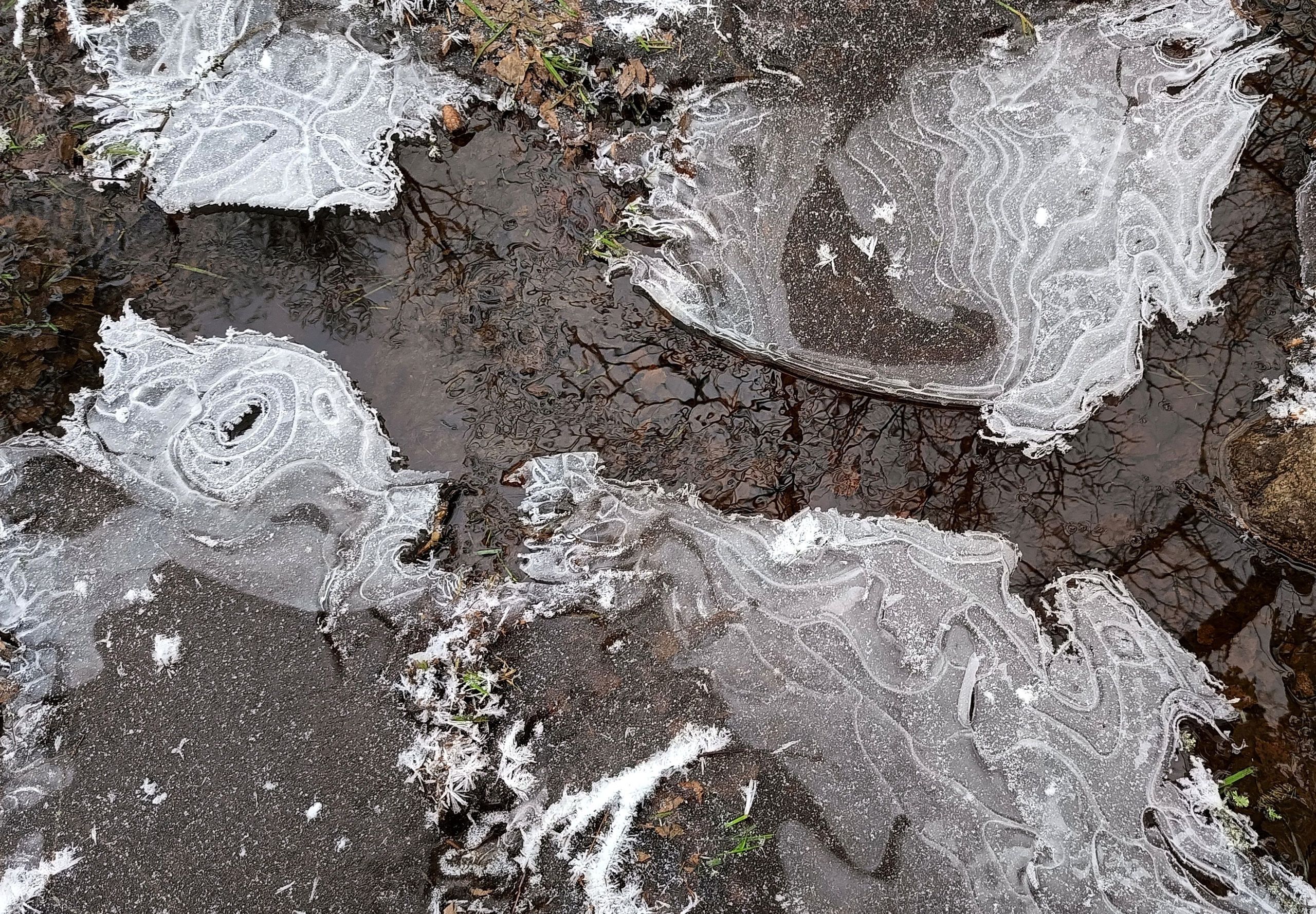 Снова минус. Прогноз погоды в Карелии на 12 декабря