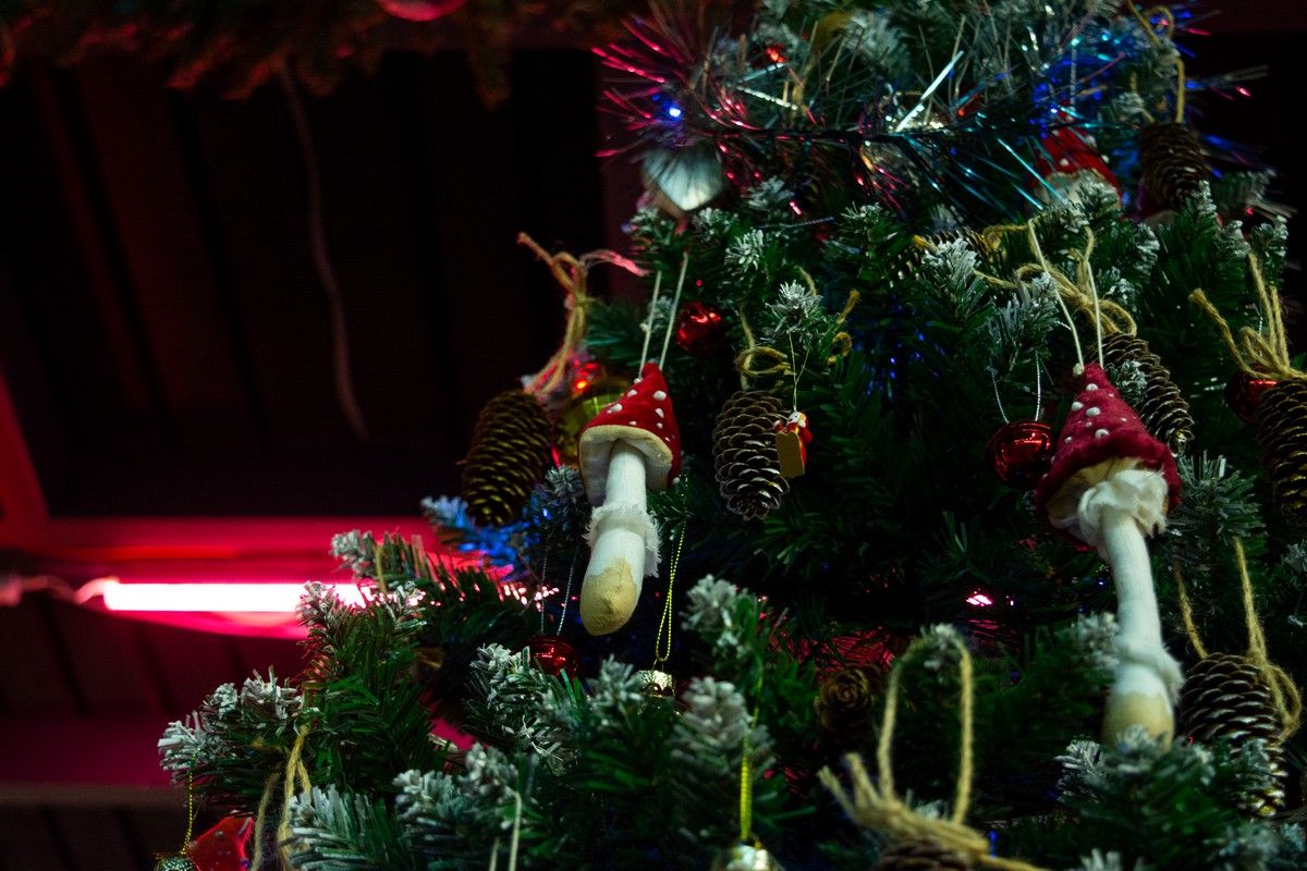 В России началась шестидневная рабочая неделя