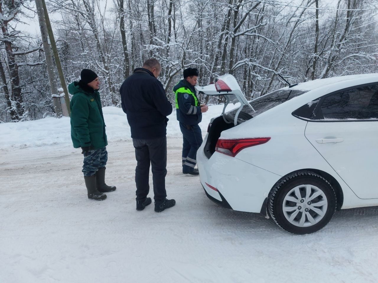 Меры по охране лесов усилят в преддверии Нового года на севере Карелии