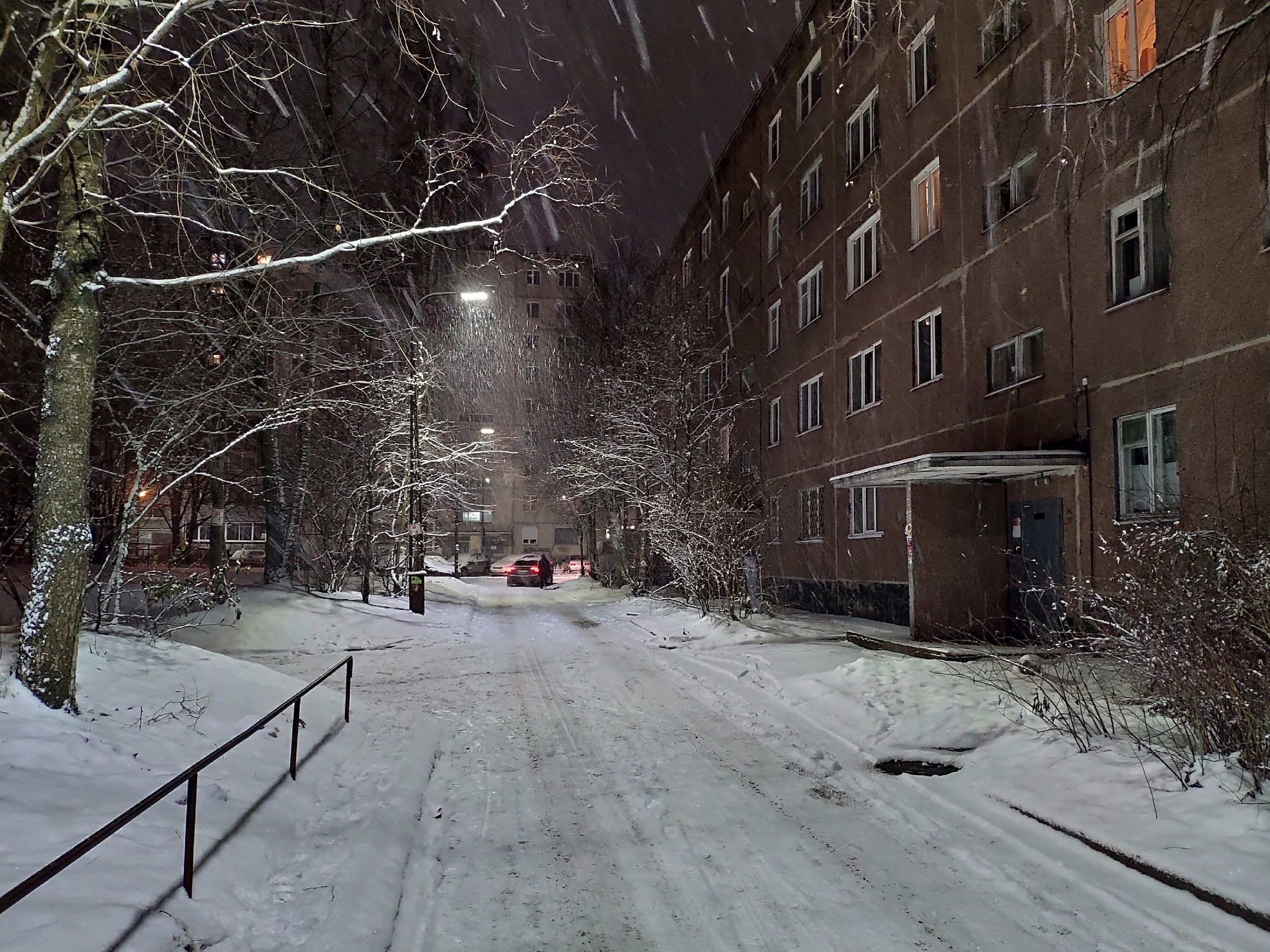 Мокрый снег и порывистый ветер: прогноз погоды на 11 декабря