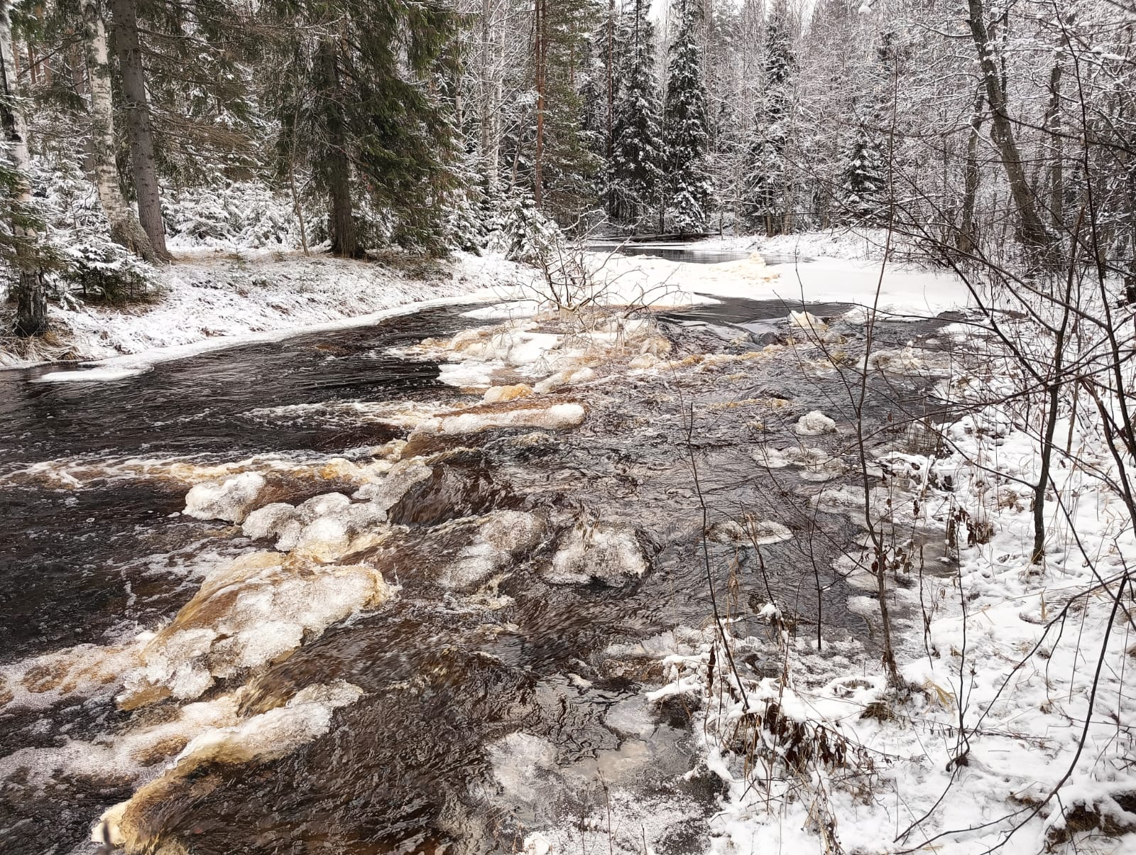 Облачно с прояснениями. Прогноз погоды в Карелии на 9 декабря