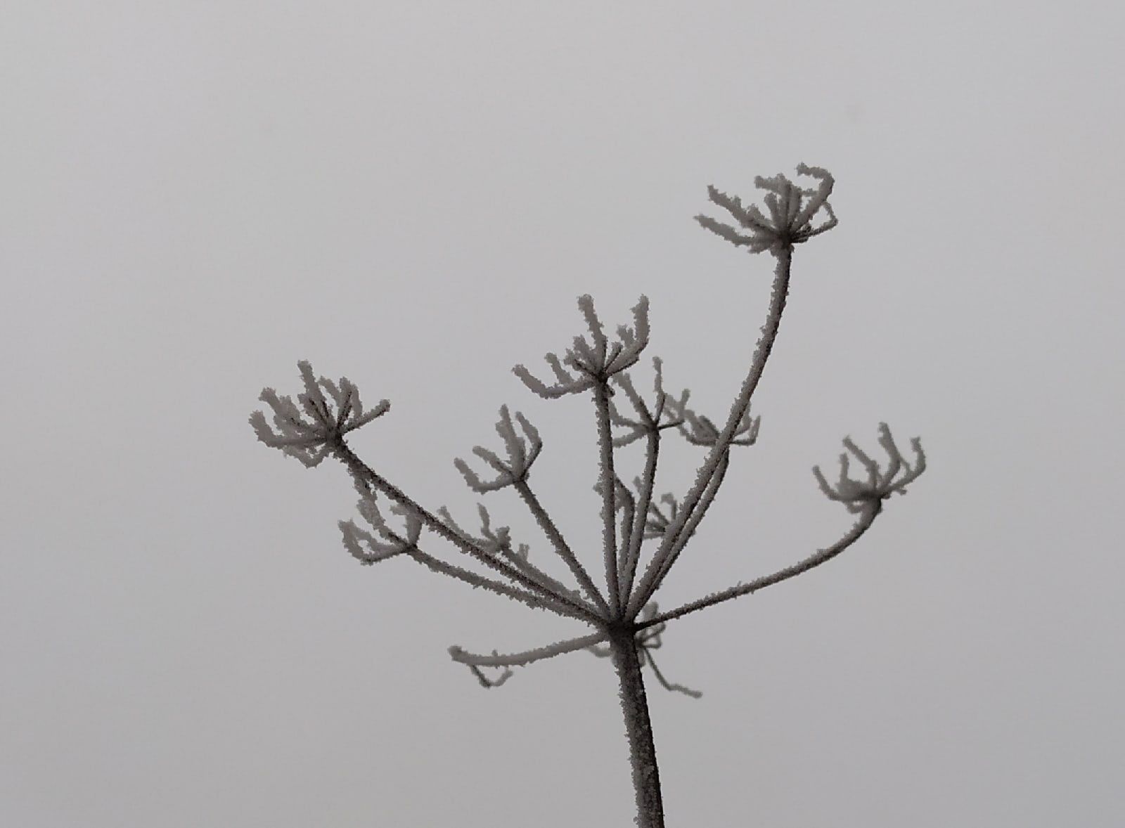 Ночью местами до -15°С. Прогноз погоды на 5 декабря