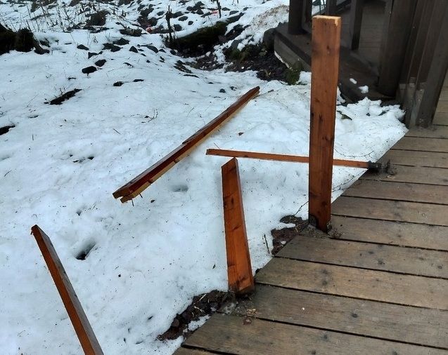 Вандалы украли корону у лягушки с родника на Древлянке