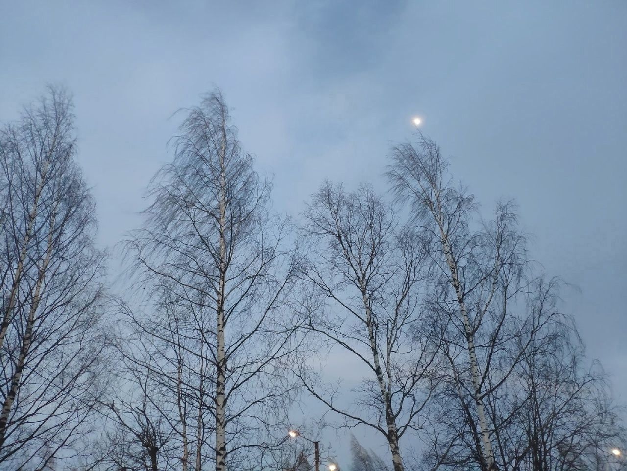 В МЧС Карелии предупредили о штормовом ветре