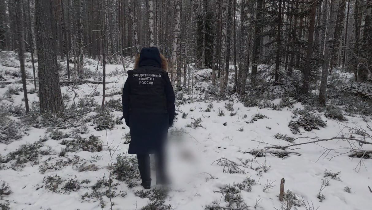 Следком официально подтвердил, что найденные в Медвежьегорском районе останки принадлежат Ангелине Лачугиной