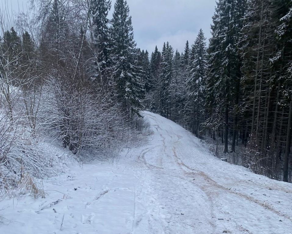 Мотоциклисты в Петрозаводске разрушают трассы Кургана