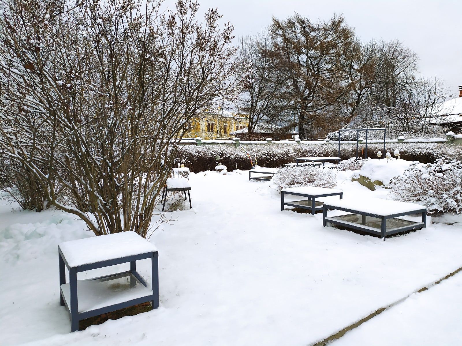 Местами до -15°С. Прогноз погоды на 21 декабря