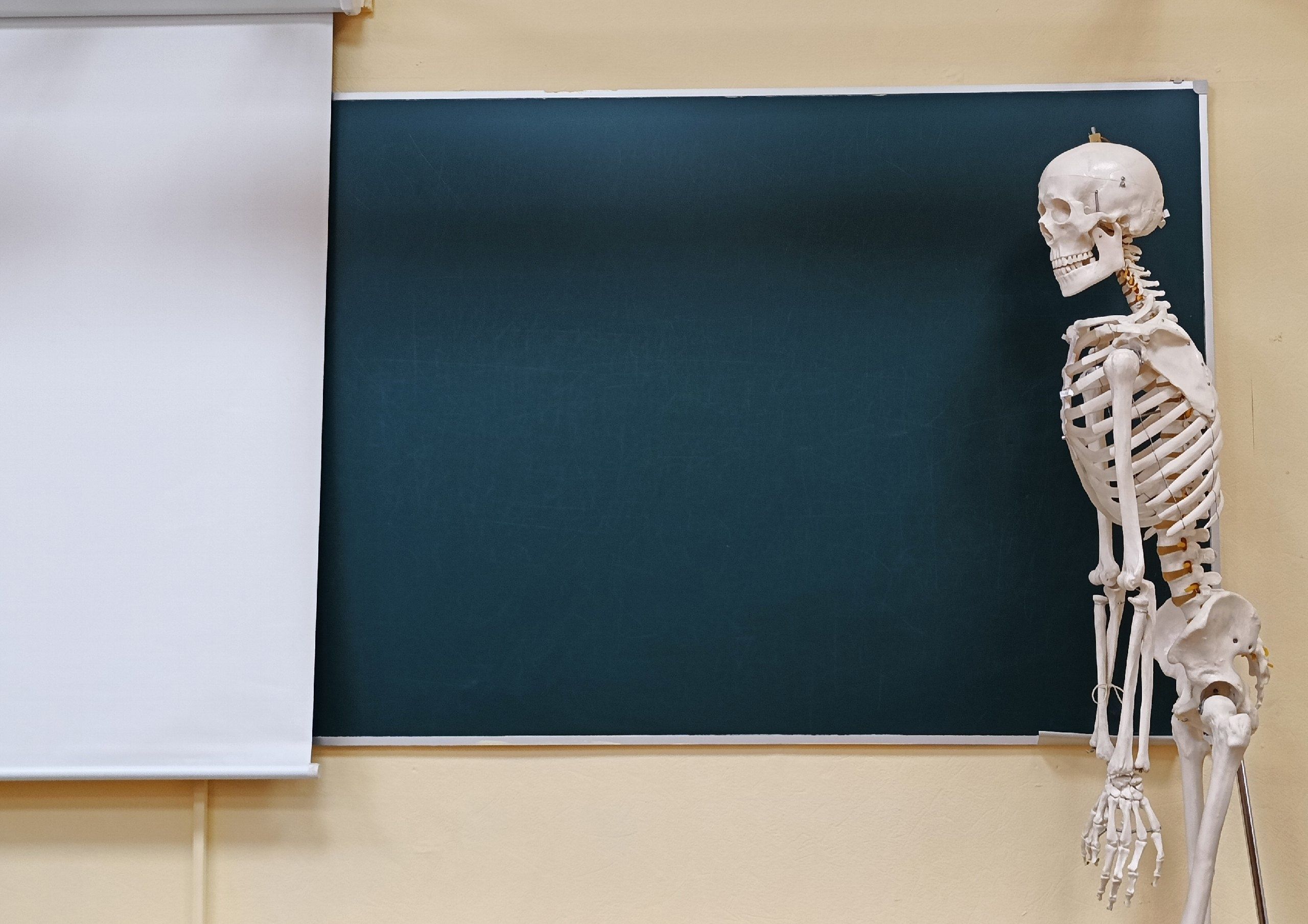 В Госдуме рассматривают вопрос уменьшения количества уроков в школах