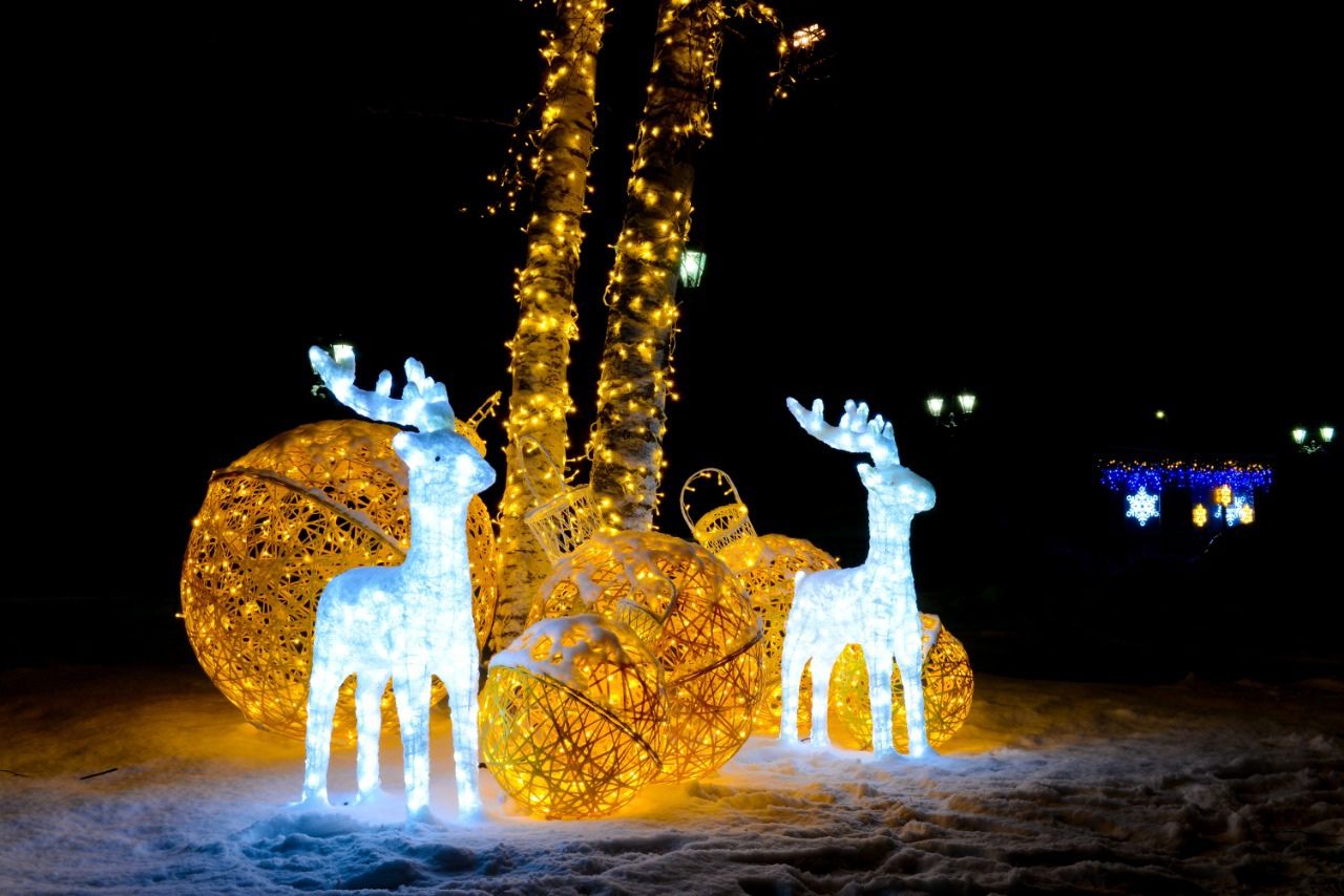 Стоимость аренды коттеджей в Карелии на Новый год достигает 240 тысяч рублей в сутки