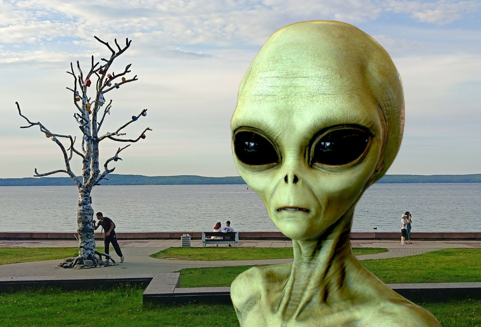 Наш новый миропорядок. Вспоминаем главные события 2024 года