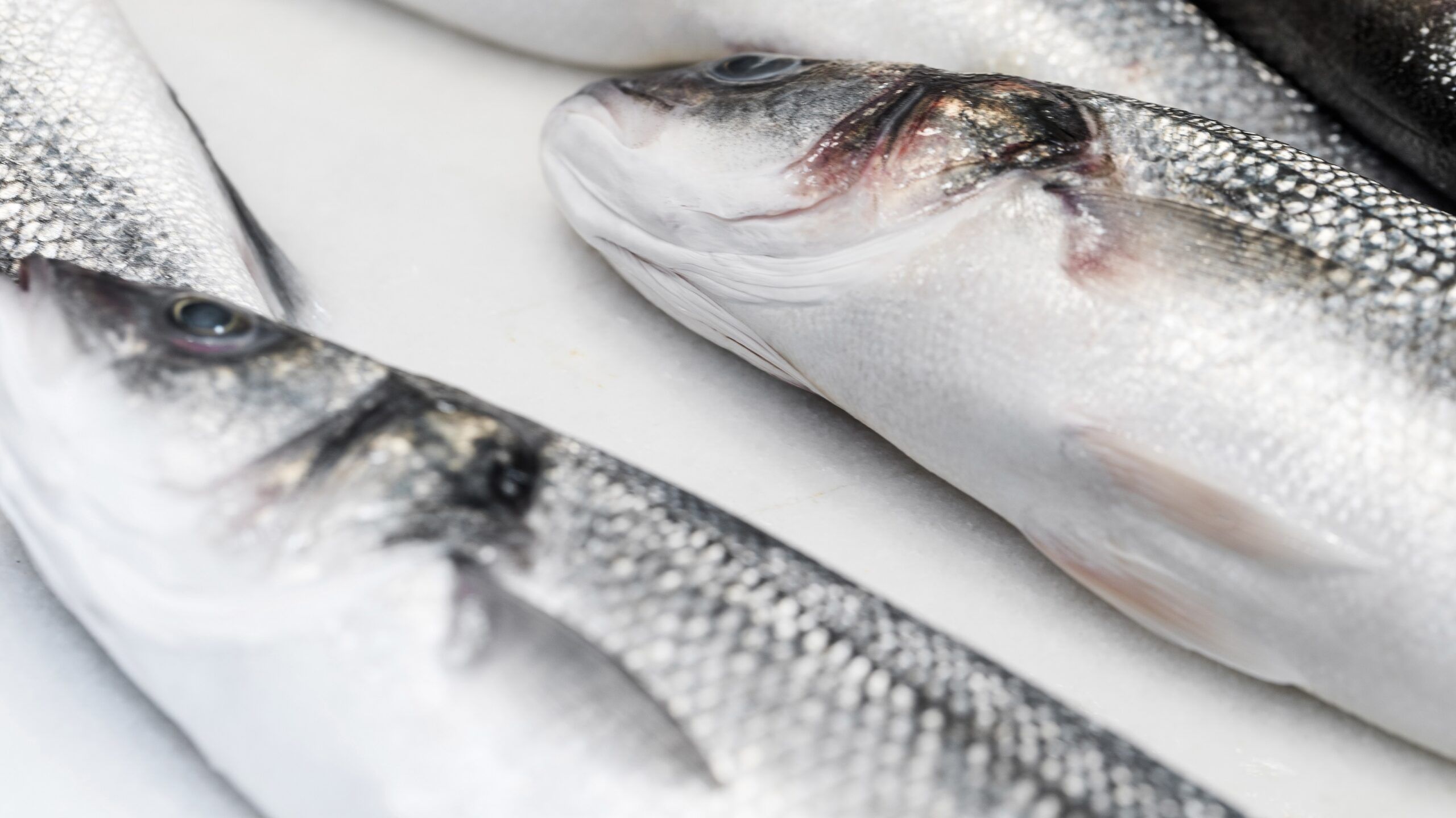 Мышьяк и гельминты выявили в выловленной в Карелии рыбе