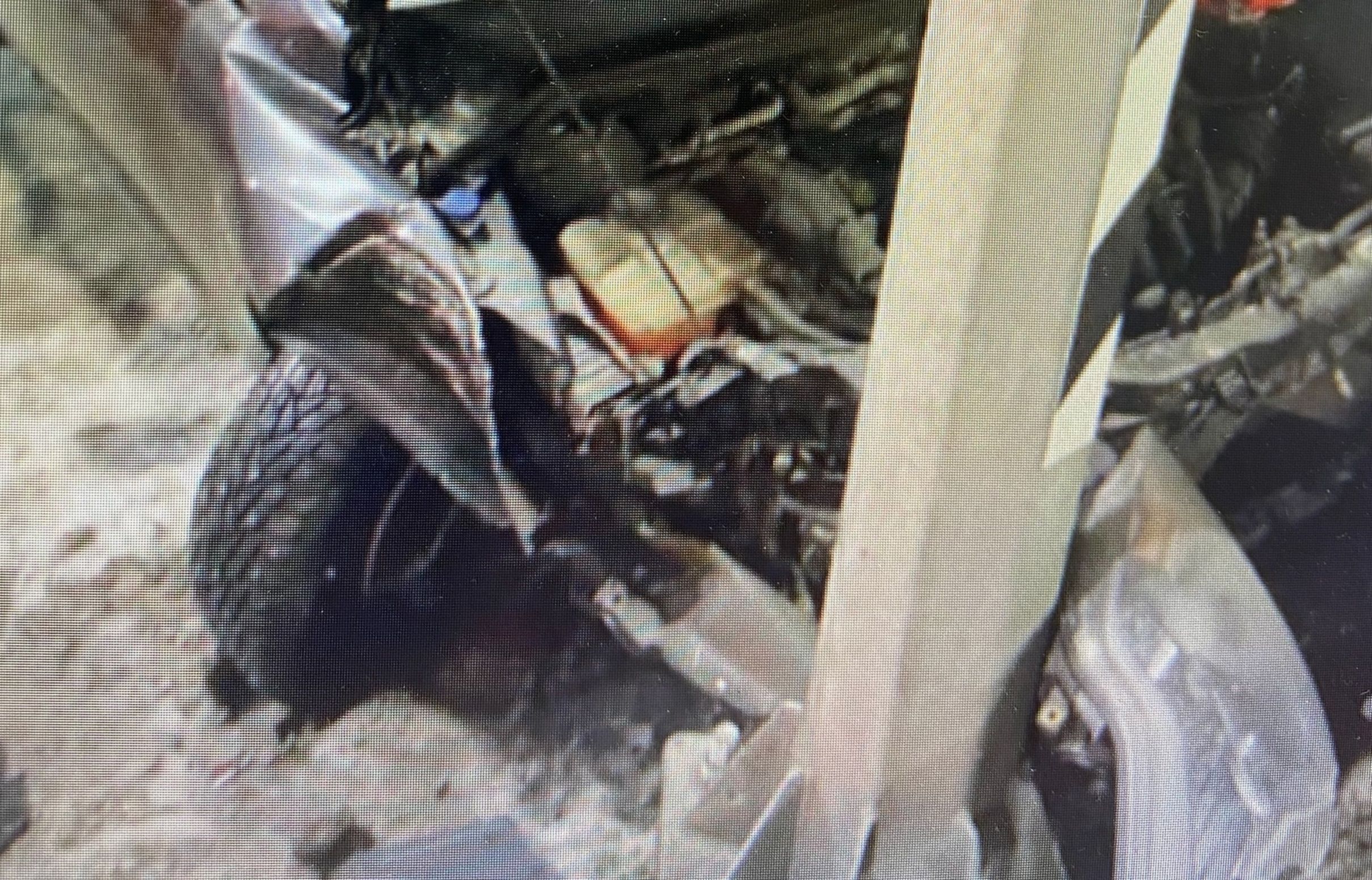 Нетрезвого водителя задержали в Петрозаводске после того, как он врезался в столб