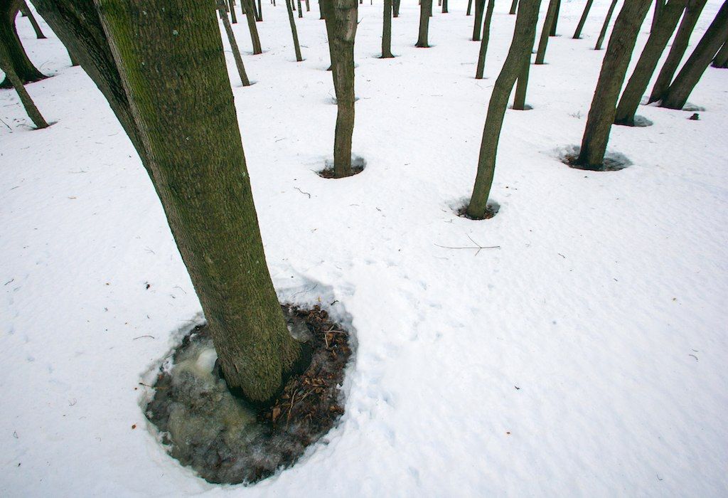 Температура воздуха в предновогодние дни в России будет выше нормы