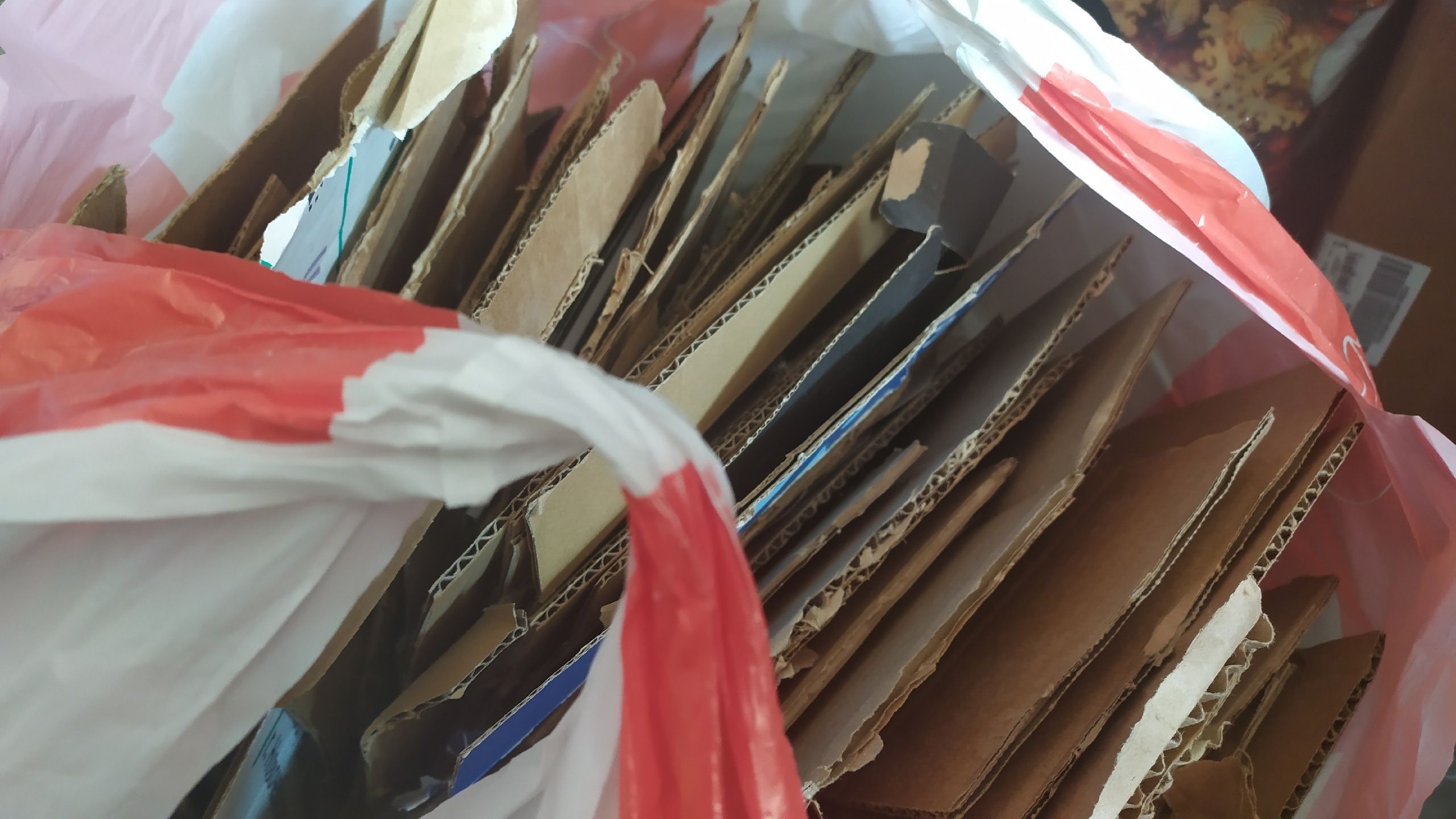 В КЭО рассказали, как готовить картон к сдаче и почему коммунальщики не берут стоящие у контейнеров коробки