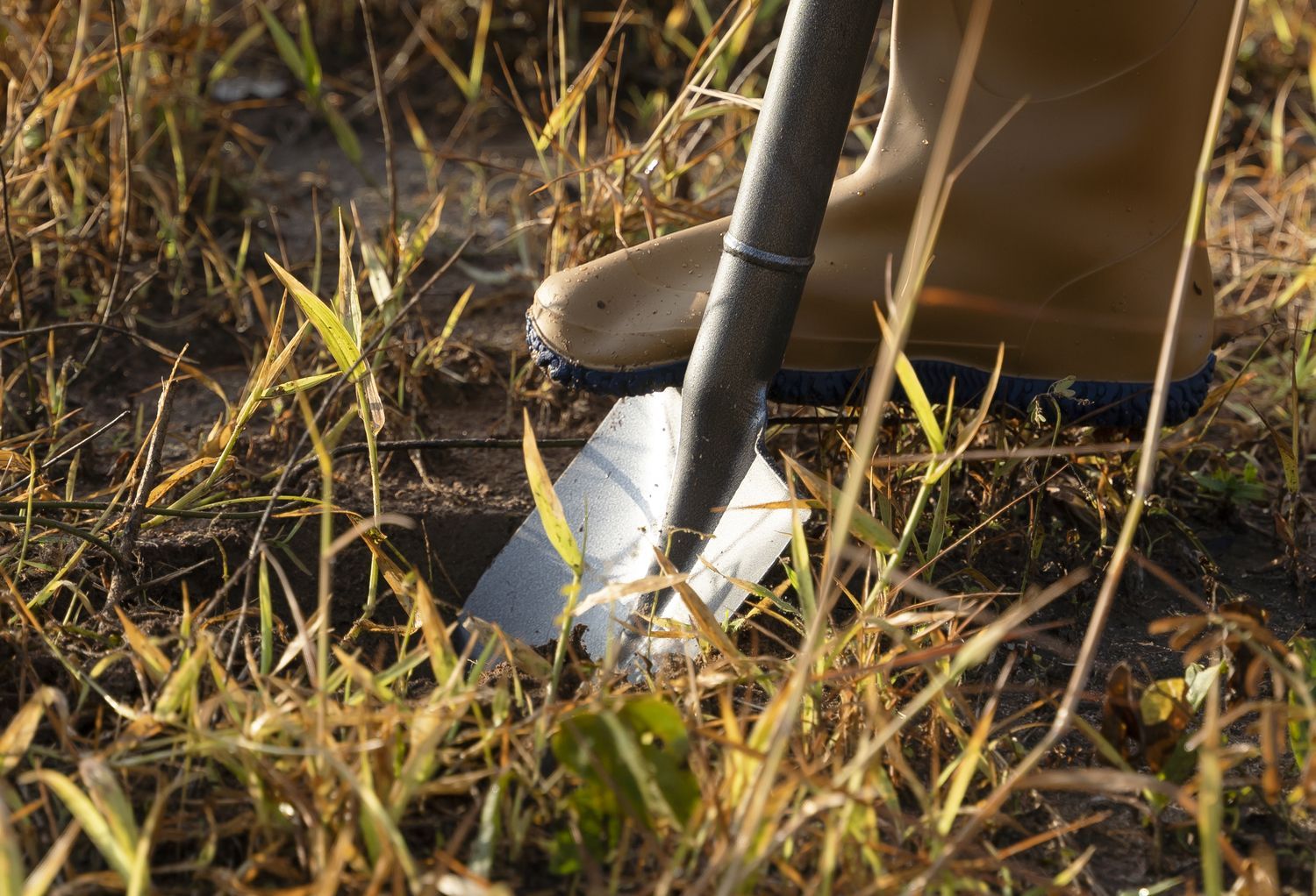 Финляндия рассматривает возможность минирования границы с Россией